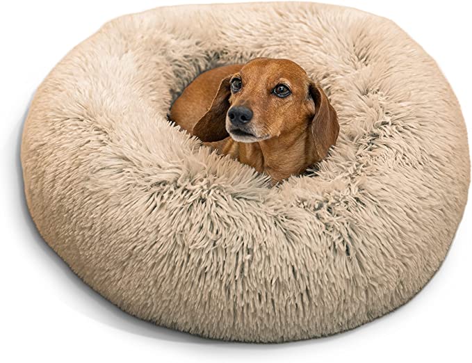 Creative solutions dog clearance bed