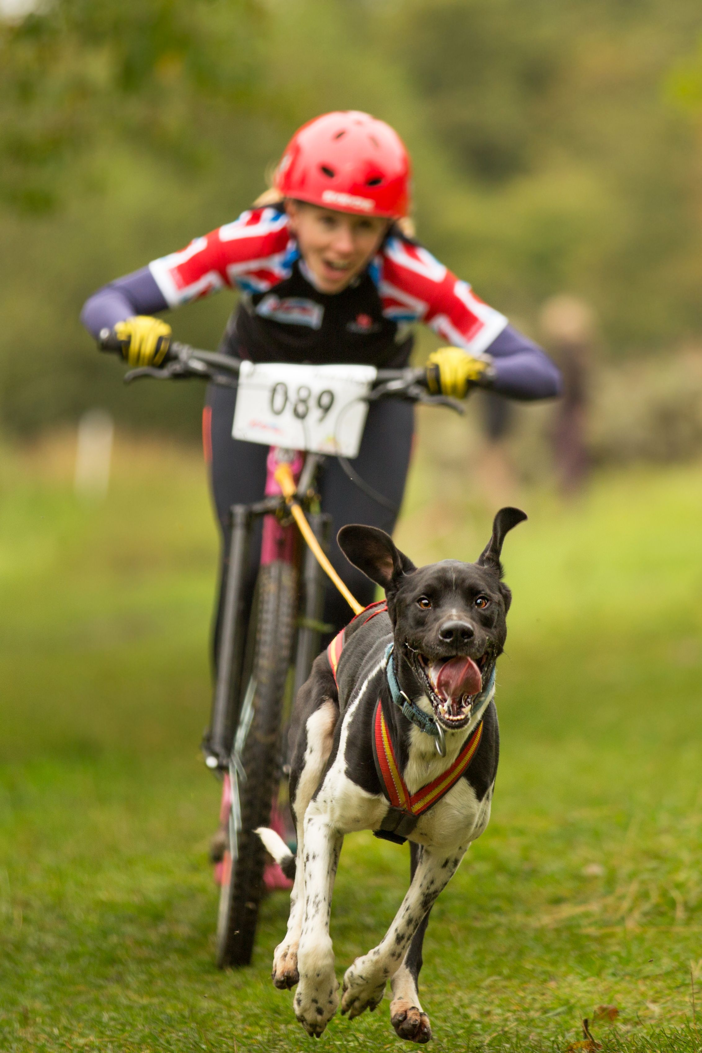 vet on bike with dog leading the way