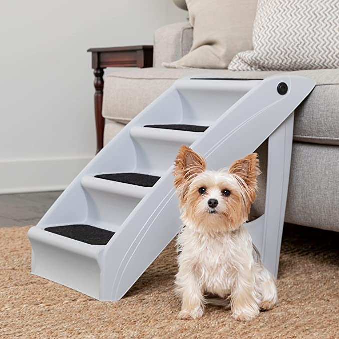 Dog beds & accessories for quality sleep - Vetster - Vetster