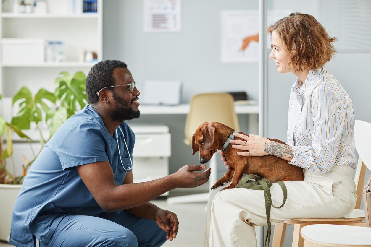 a dog owner and veterinarian chat while a small dog sits on the owner's lap