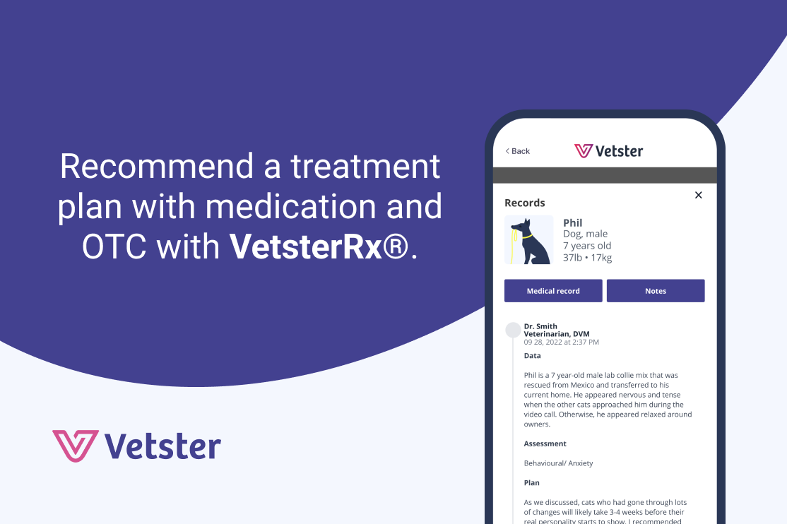 Recommend a treatment plan with medication and OTC with VetsterRx.