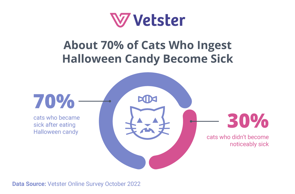 Cats that consume Halloween chocolate or candy get sick