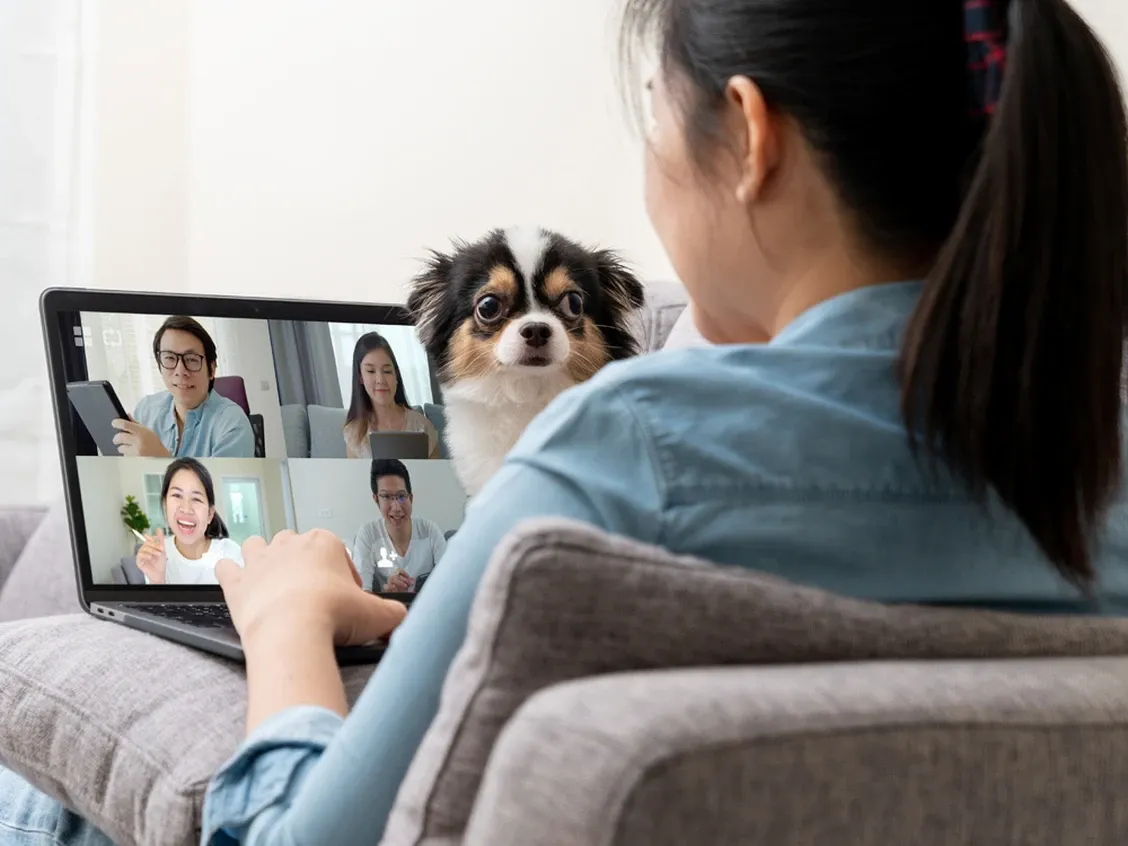 zoom-call-dog.webp